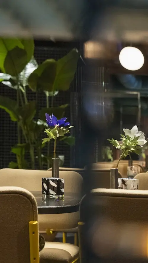 banner-sonorobar-new-2